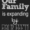 Our Family is Expanding By 4 Feet Profile Pic