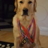 Final Outcome is Here Franz Medals
