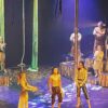 Te Tangi a te Tūī’s acrobatic stories of Māori feature picture